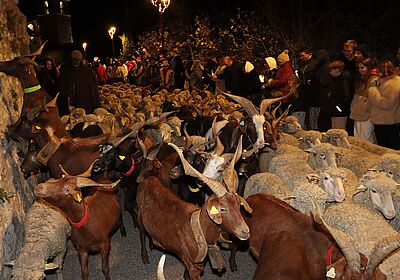 Descente des Bergers 2024