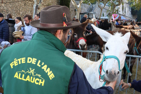 Retour en images sur la traditionnelle Fête de l’Âne, une très belle édition 2024 !