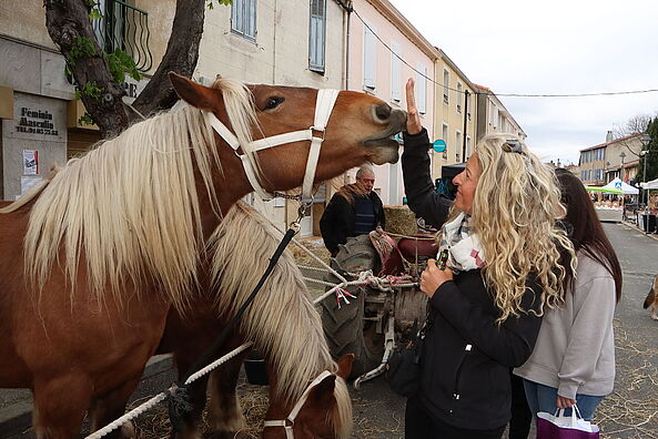 Retour en images sur une "Foire aux bestiaux" pluvieuse ce dimanche au Logis-Neuf